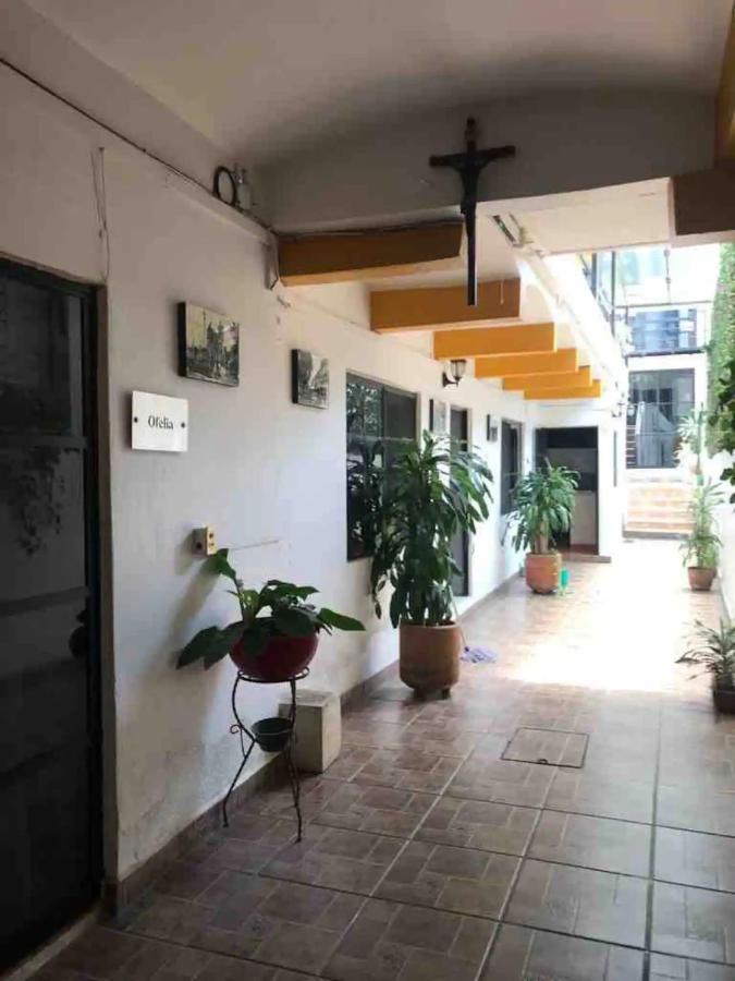 Cute Apart Excellently Located Apartment Oaxaca Bagian luar foto