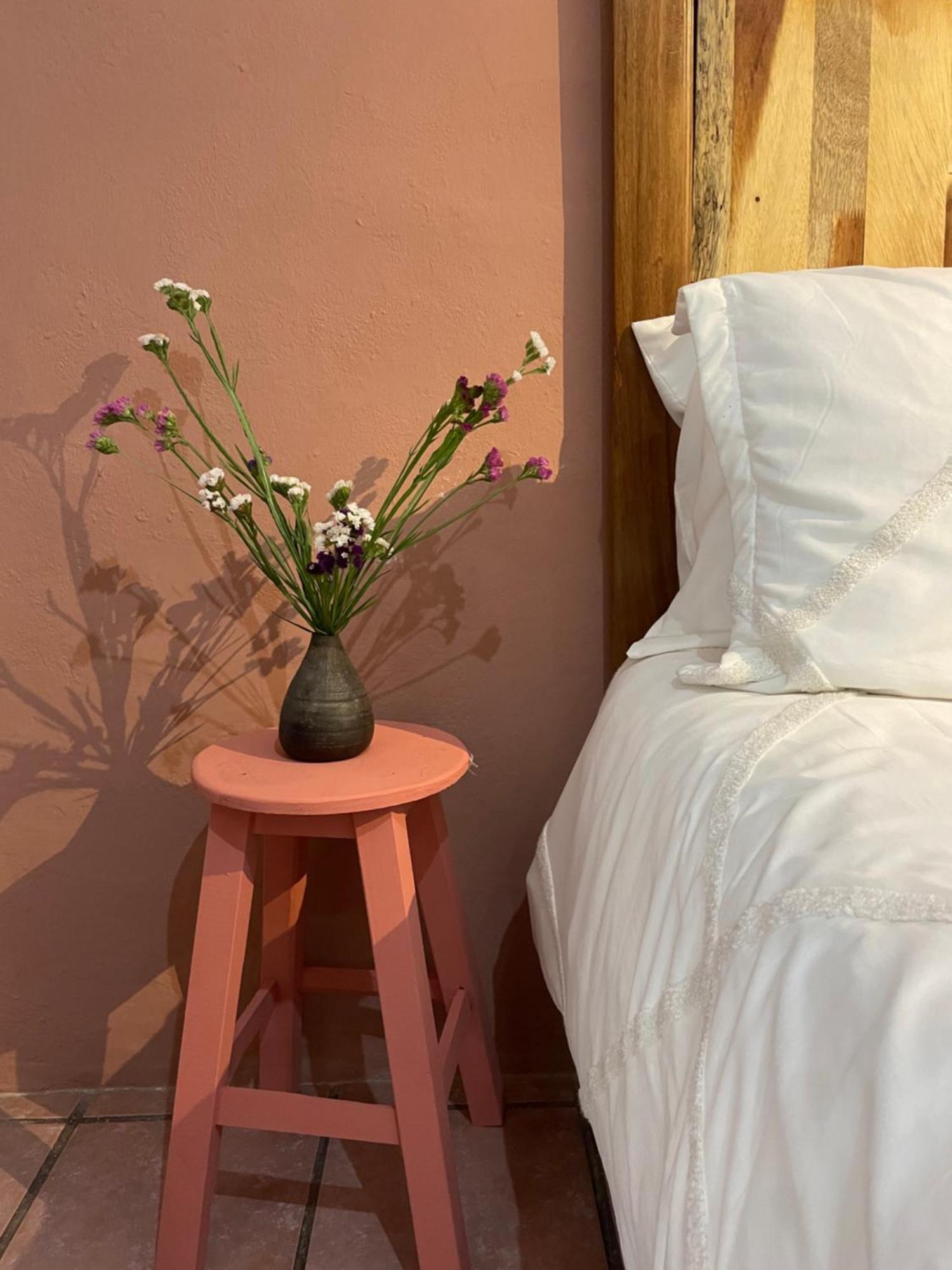 Cute Apart Excellently Located Apartment Oaxaca Bagian luar foto