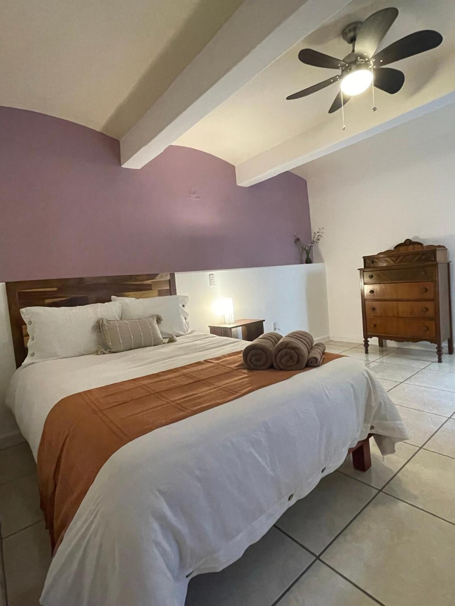 Cute Apart Excellently Located Apartment Oaxaca Bagian luar foto